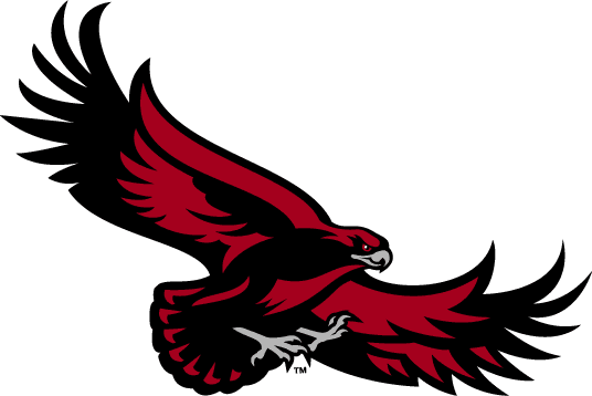 St. Joseph's Hawks 2001-Pres Alternate Logo v4 iron on transfers for fabric